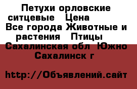 Петухи орловские ситцевые › Цена ­ 1 000 - Все города Животные и растения » Птицы   . Сахалинская обл.,Южно-Сахалинск г.